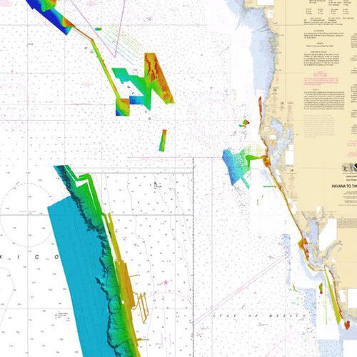 CMOR MAPPING CHIPS - WEST FLORIDA (Middle Grounds)